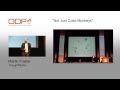 "Not Just Code Monkeys"