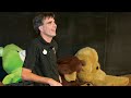 Achieving Your Childhood Dreams